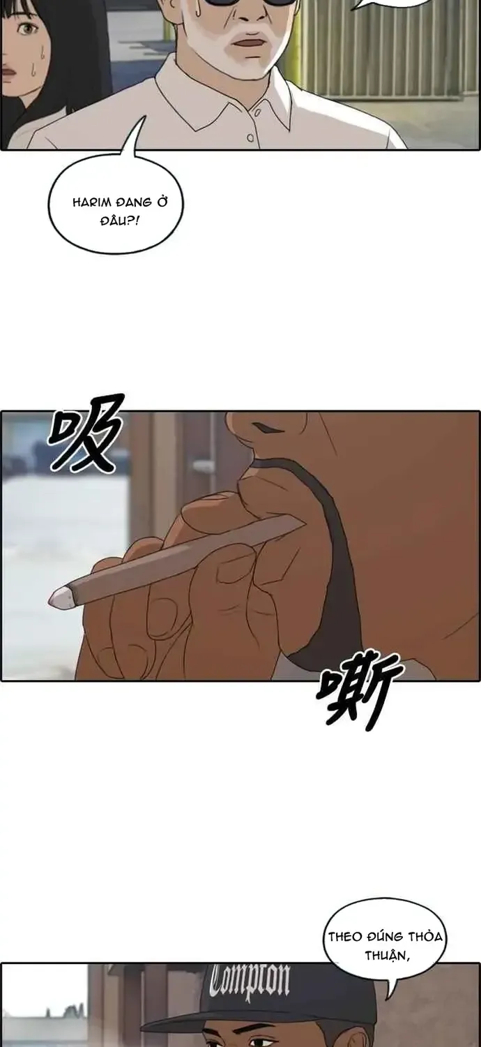 Free Draw Chap 208 - Next Chap 209