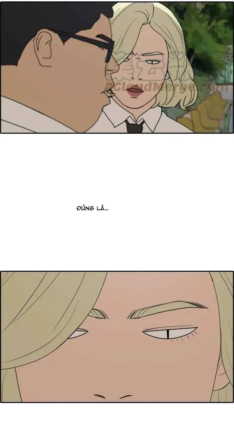 Free Draw Chap 260 - Next Chap 261