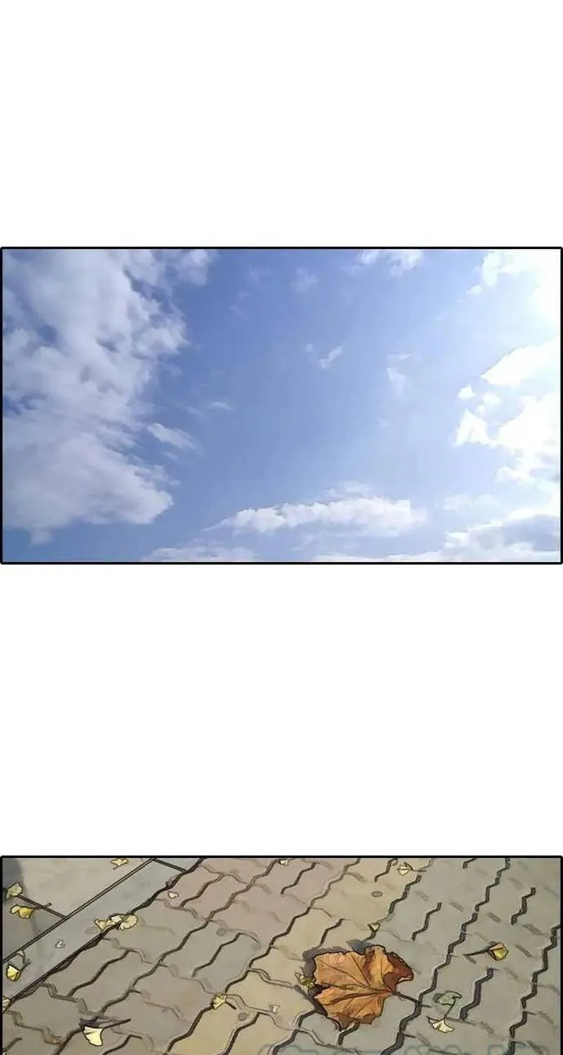 Free Draw Chap 264 - Next Chap 265