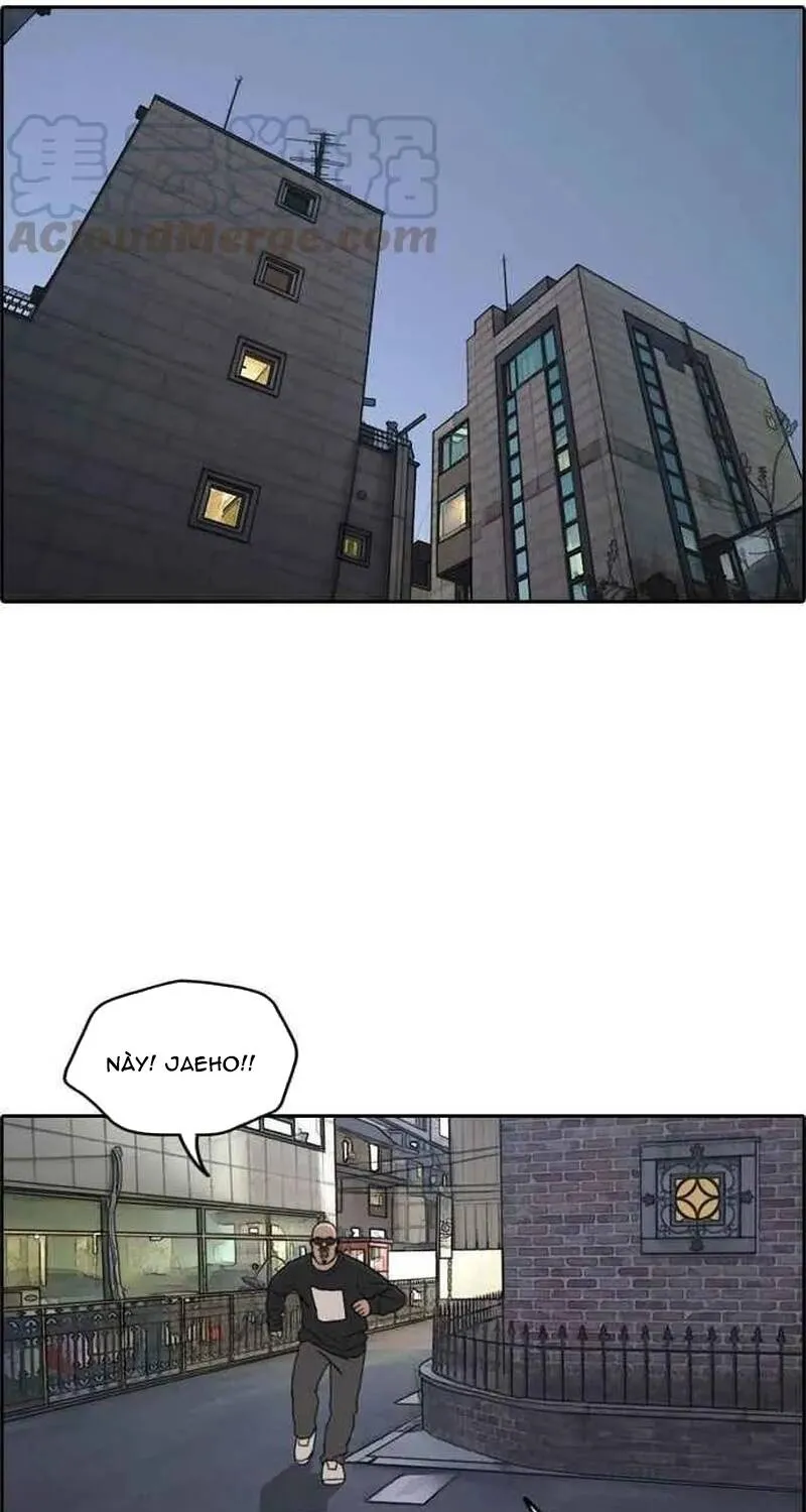 Free Draw Chap 265 - Next Chap 266