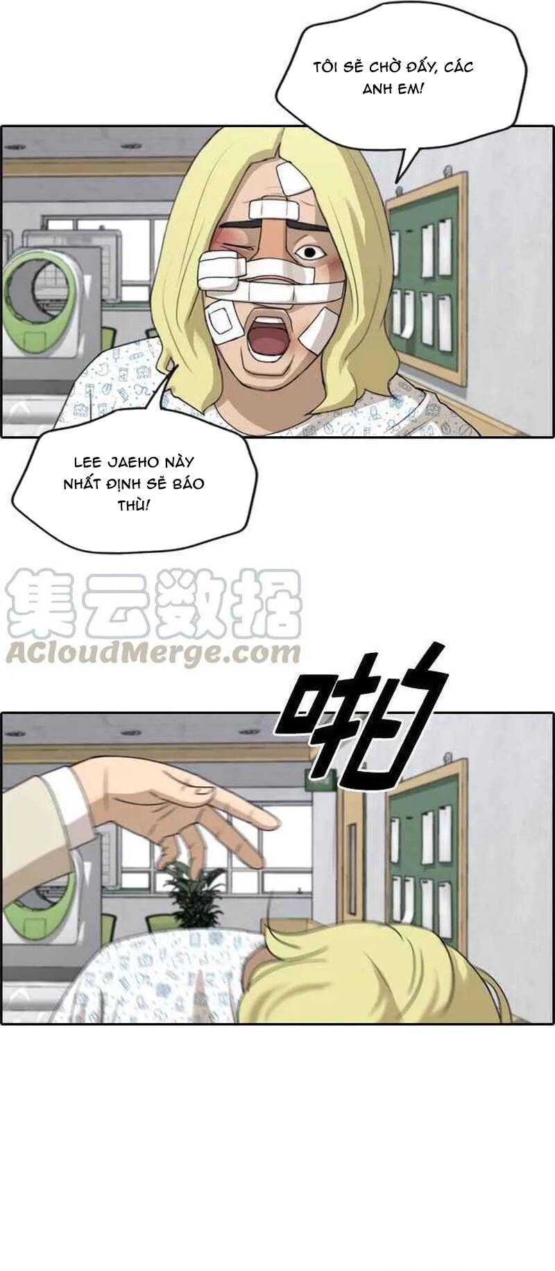 Free Draw Chap 266 - Next Chap 267