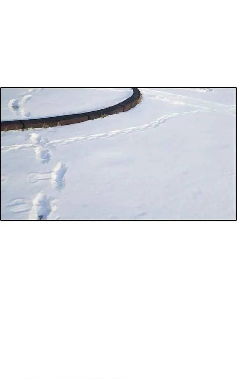 Free Draw Chap 266 - Next Chap 267