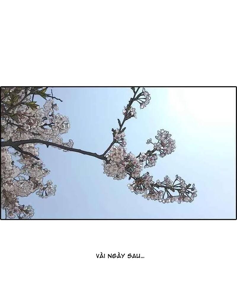 Free Draw Chap 281 - Next Chap 282