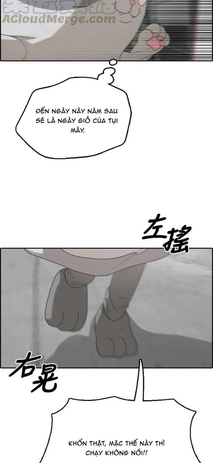 Free Draw Chap 312 - Next Chap 313