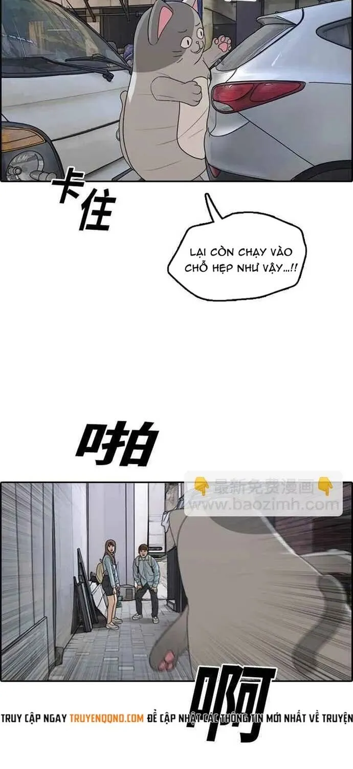 Free Draw Chap 312 - Next Chap 313