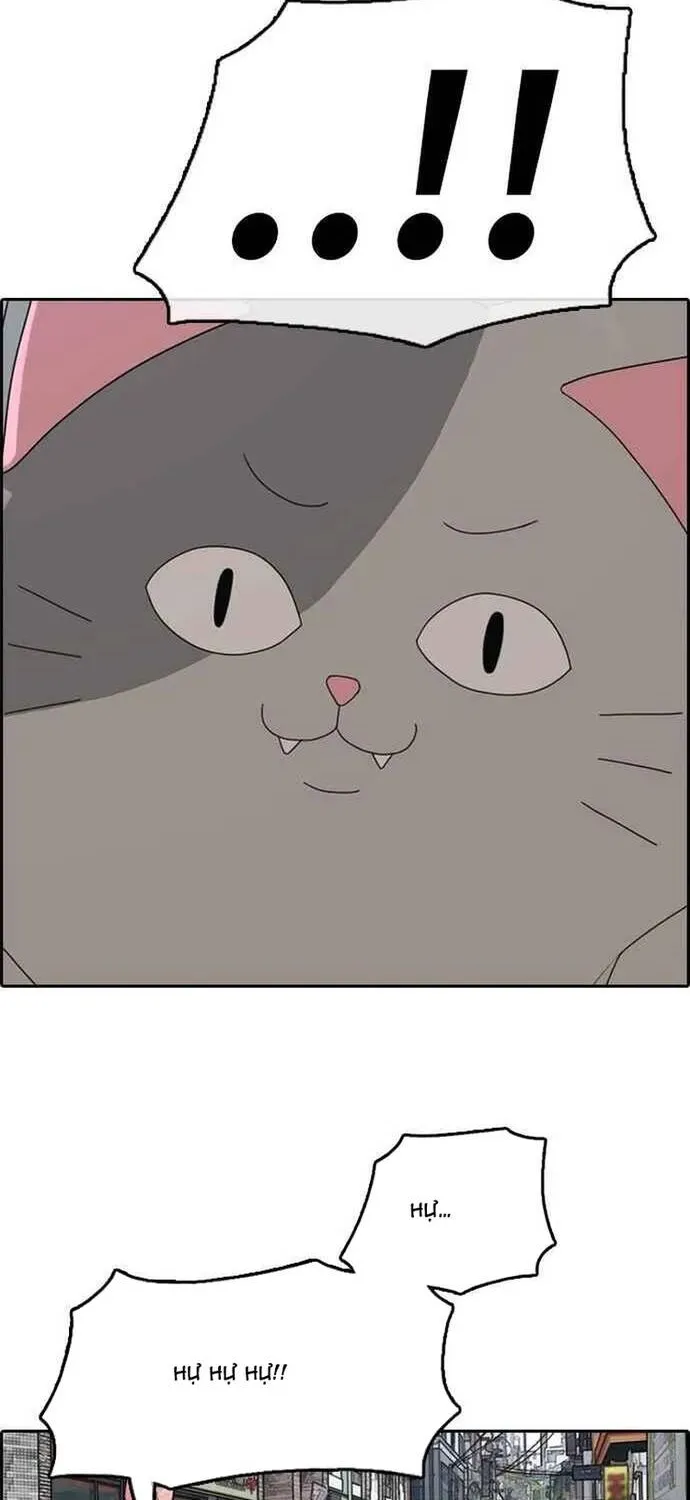 Free Draw Chap 312 - Next Chap 313