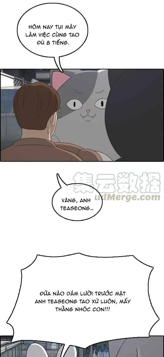 Free Draw Chap 313 - Next Chap 314