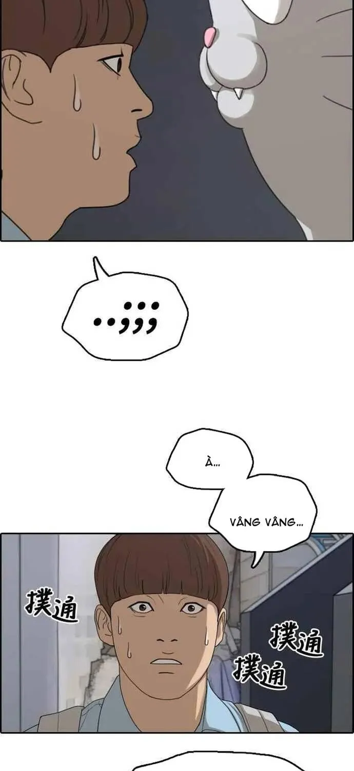 Free Draw Chap 313 - Next Chap 314