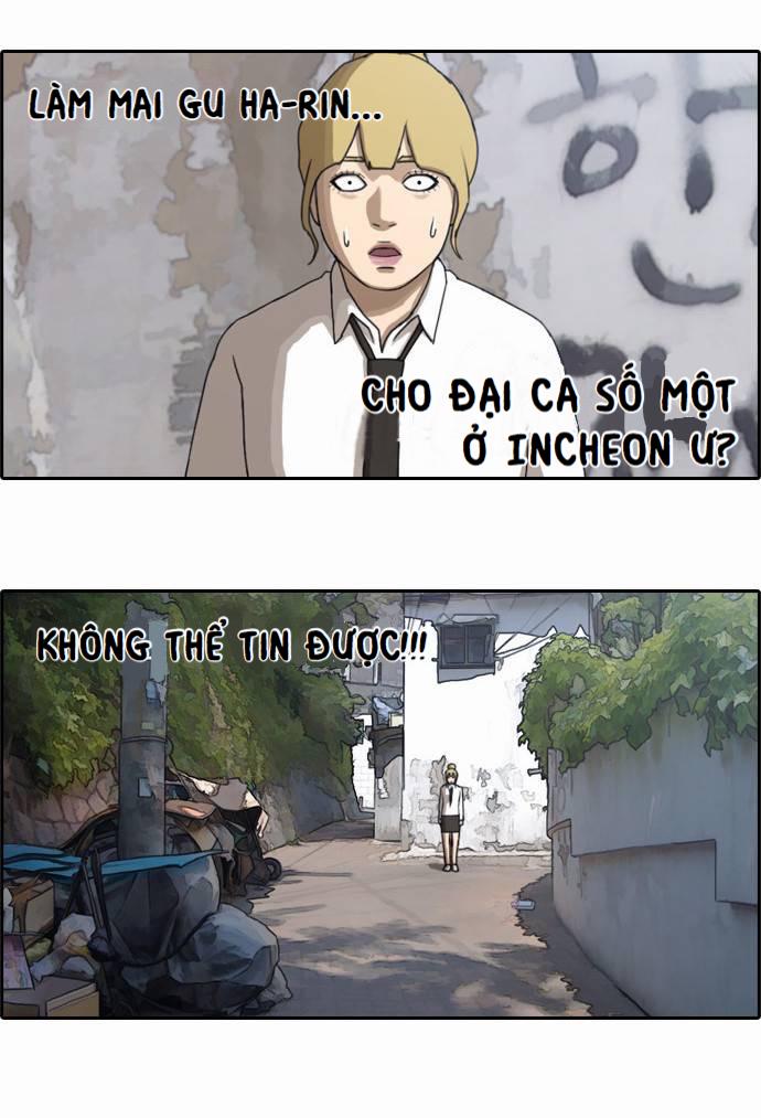 Free Draw Chap 43 - Next Chap 44