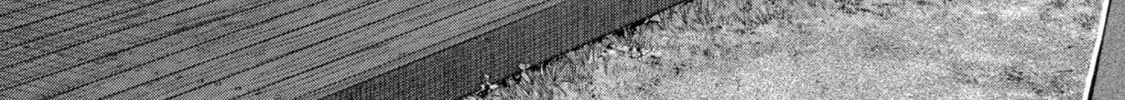 Futari Solo Camp Chap 155 - Next Chap 156