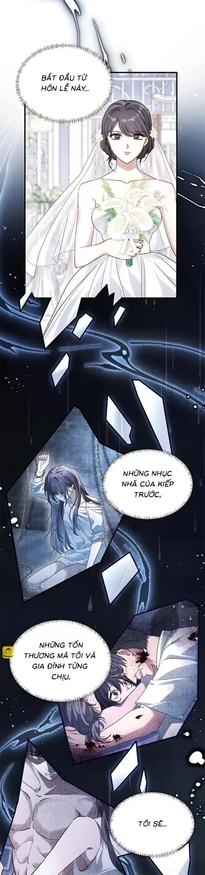 Gả Cho Kẻ Thù Của Người Cũ Sau Trùng Sinh Chap 25 - Next Chap 26