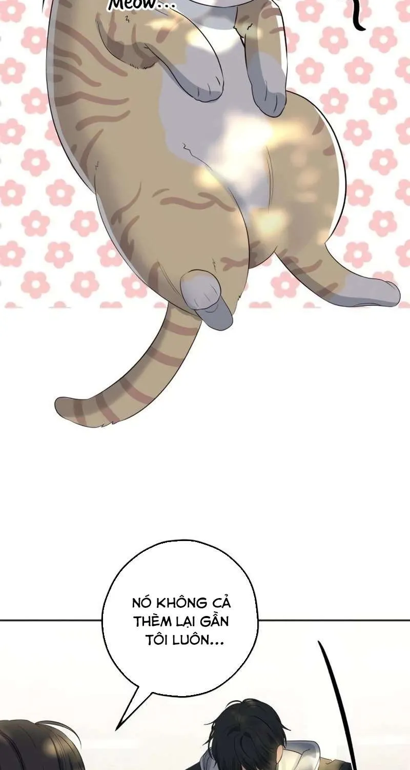 Gã Côn Đồ Nhà Bên Chap 5 - Next Chap 6