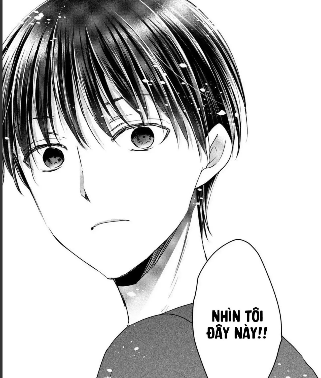 Gia Đình Ly Thân Chap 8 - Next Chap 9