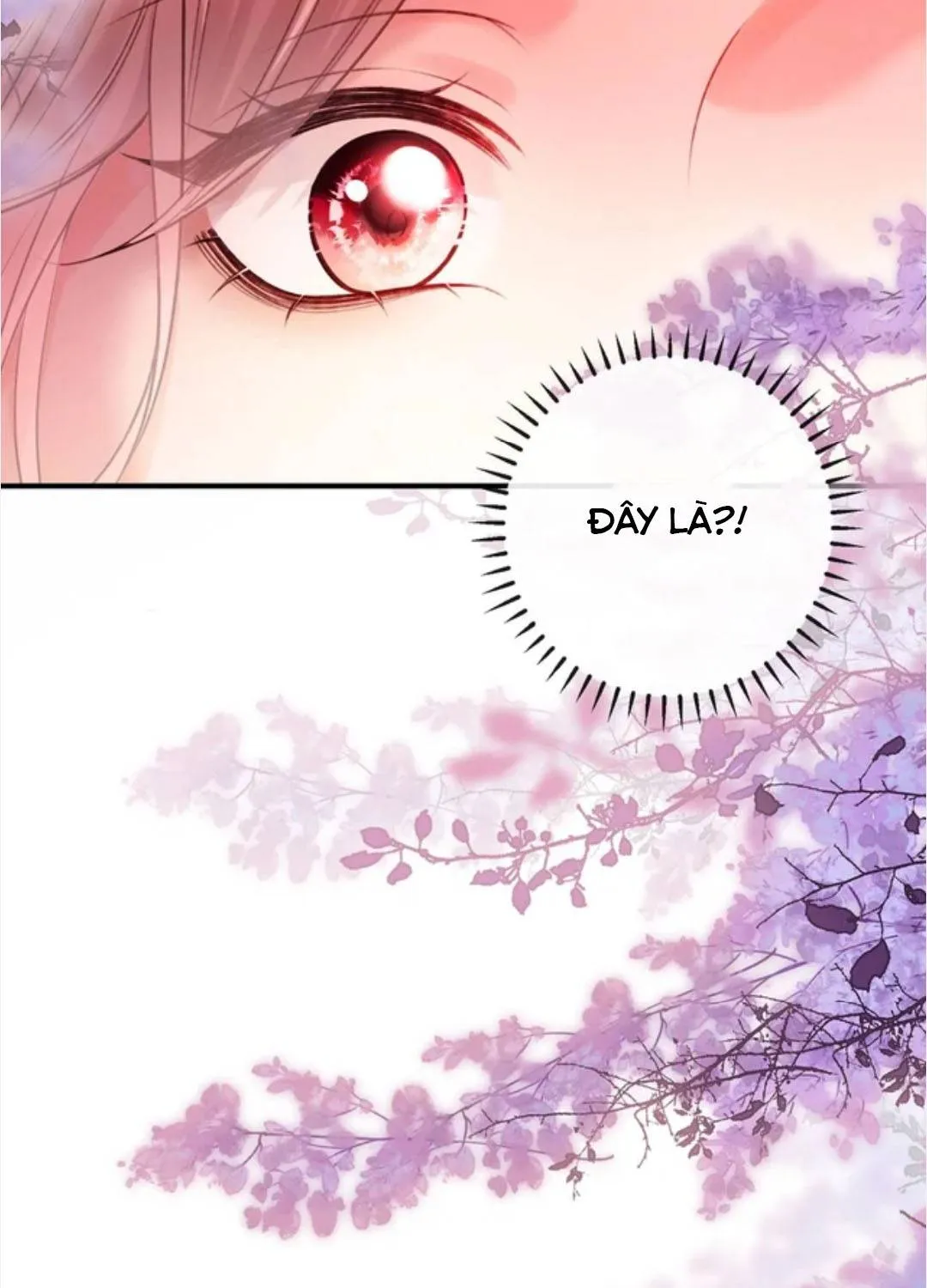 Giả làm giới thượng lưu Chap 73 - Next Chap 74