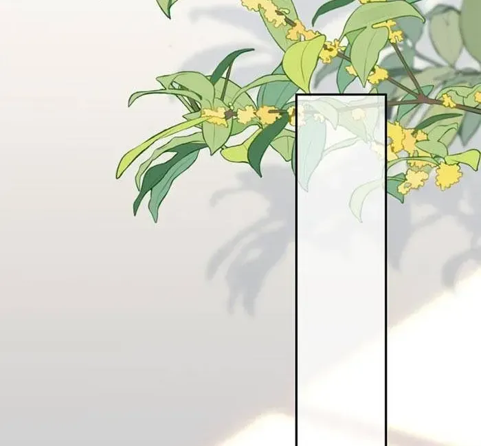 Giả Mù Trở Về, Tôi Xé Nát Hoắc Gia Chap 13 - Next Chap 14