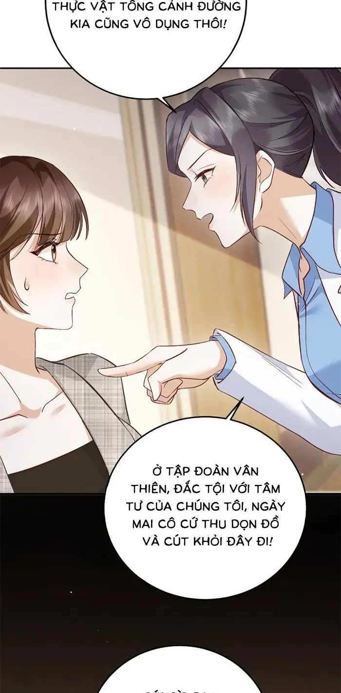 Giả Mù Trở Về, Tôi Xé Nát Hoắc Gia Chap 13 - Next Chap 14