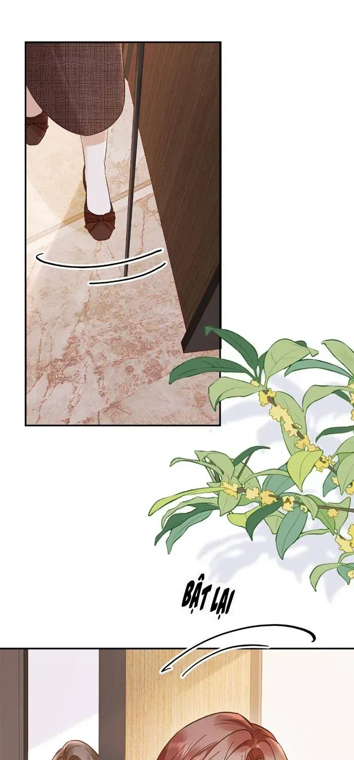 Giả Mù Trở Về, Tôi Xé Nát Hoắc Gia Chap 13 - Next Chap 14