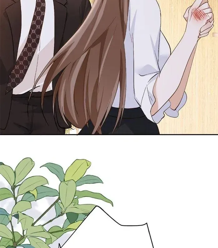 Giả Mù Trở Về, Tôi Xé Nát Hoắc Gia Chap 13 - Next Chap 14