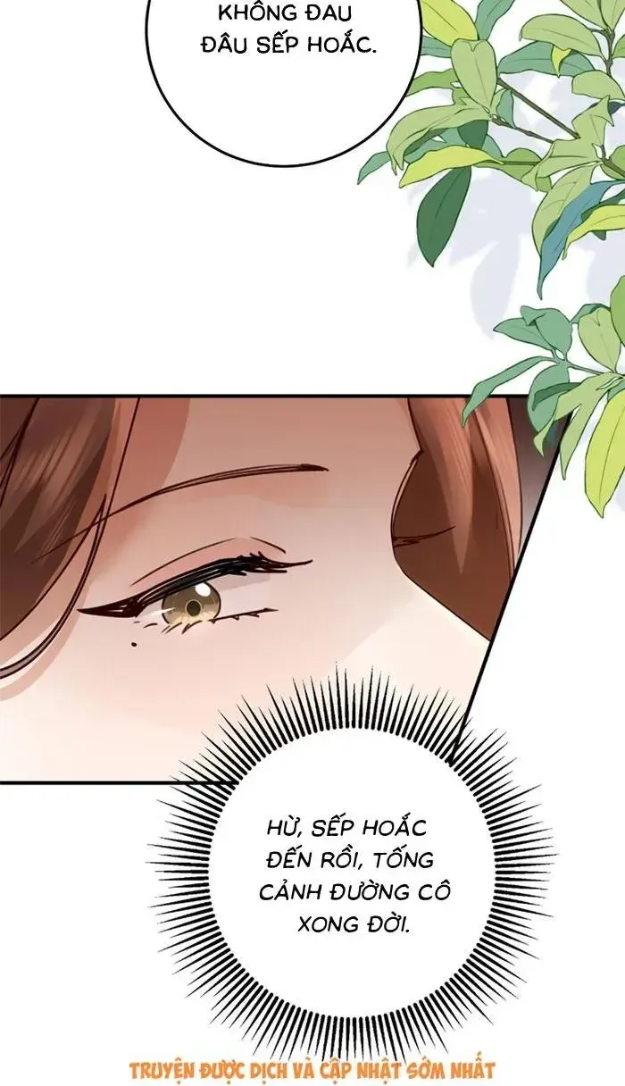 Giả Mù Trở Về, Tôi Xé Nát Hoắc Gia Chap 14 - Next Chap 15