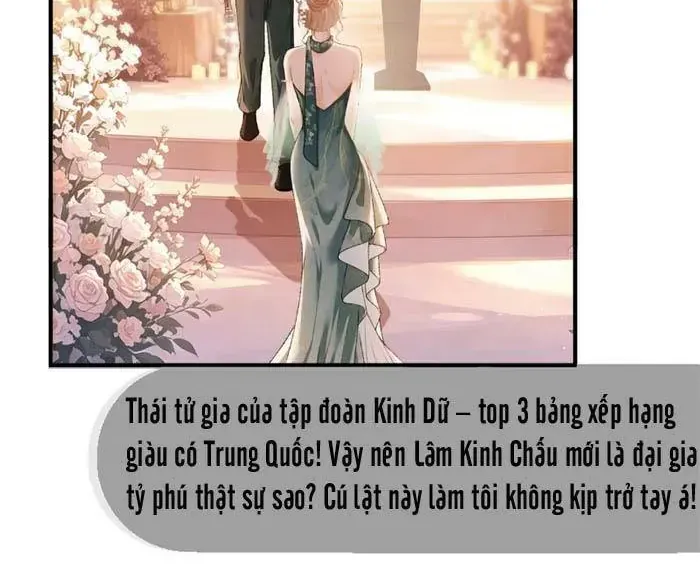 Giả Vờ Làm Giới Thượng Lưu Chap 67 - Next Chap 68