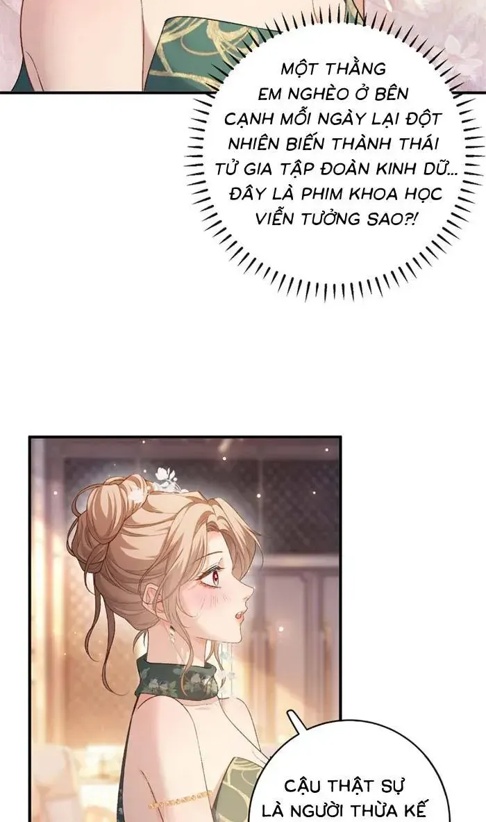 Giả Vờ Làm Giới Thượng Lưu Chap 67 - Next Chap 68
