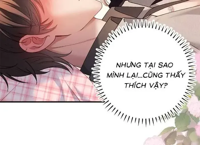 Giả Vờ Làm Giới Thượng Lưu Chap 70 - Next Chap 71