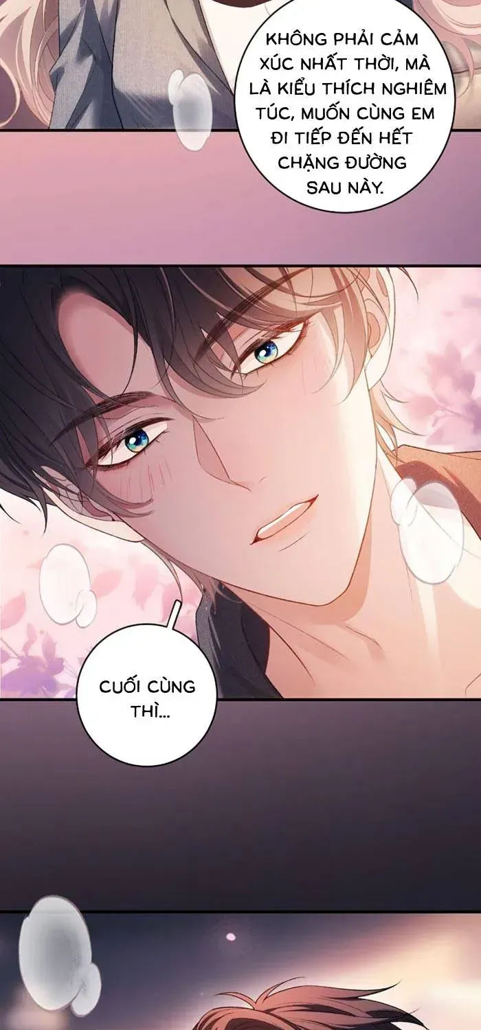 Giả Vờ Làm Giới Thượng Lưu Chap 75 - Next Chap 76