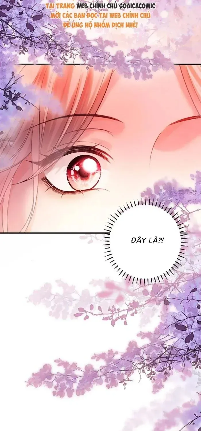 Giả Vờ Làm Giới Thượng Lưu Chap 75 - Next Chap 76