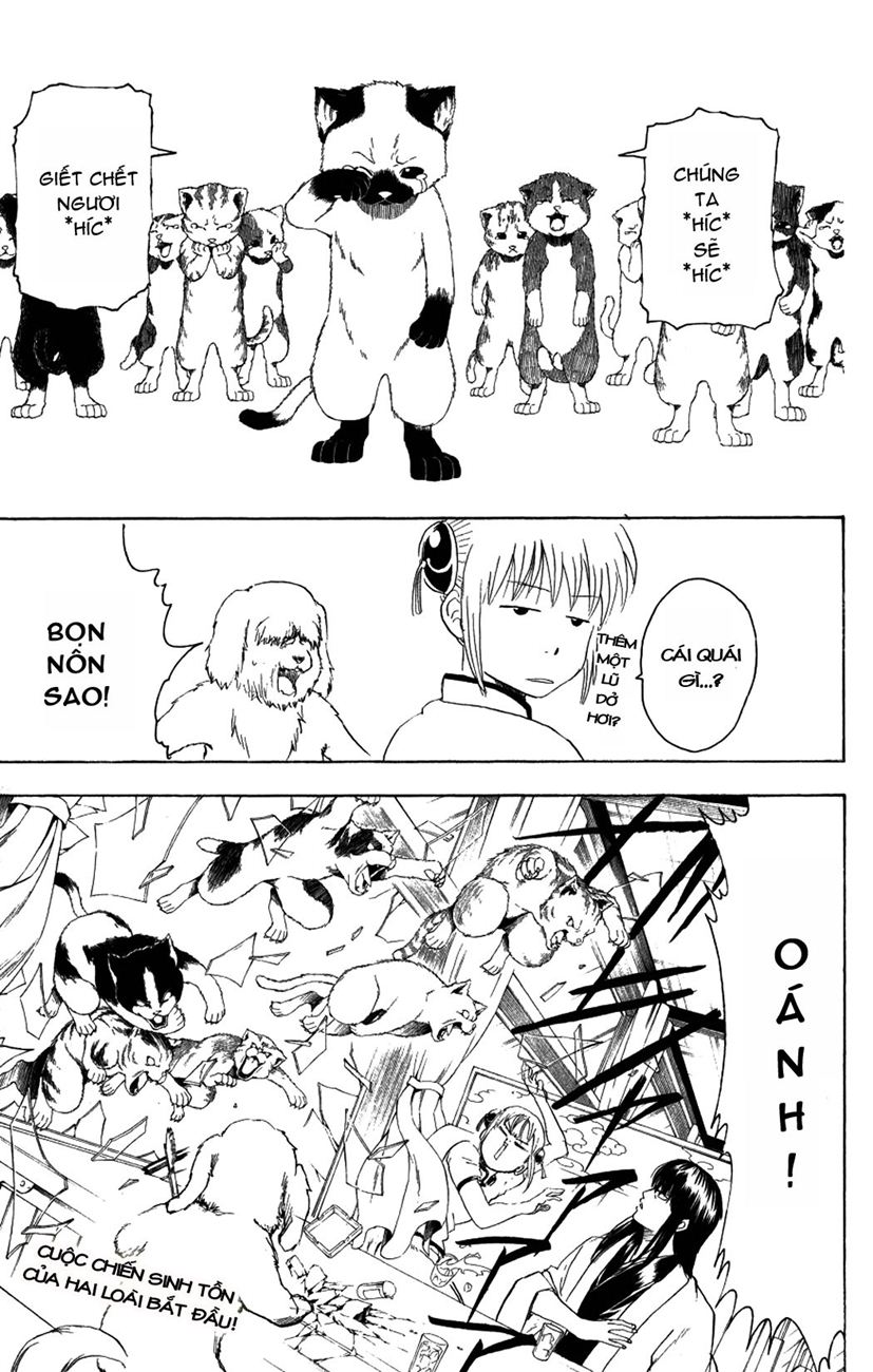 Gintama Chap 207 - Next Chap 208
