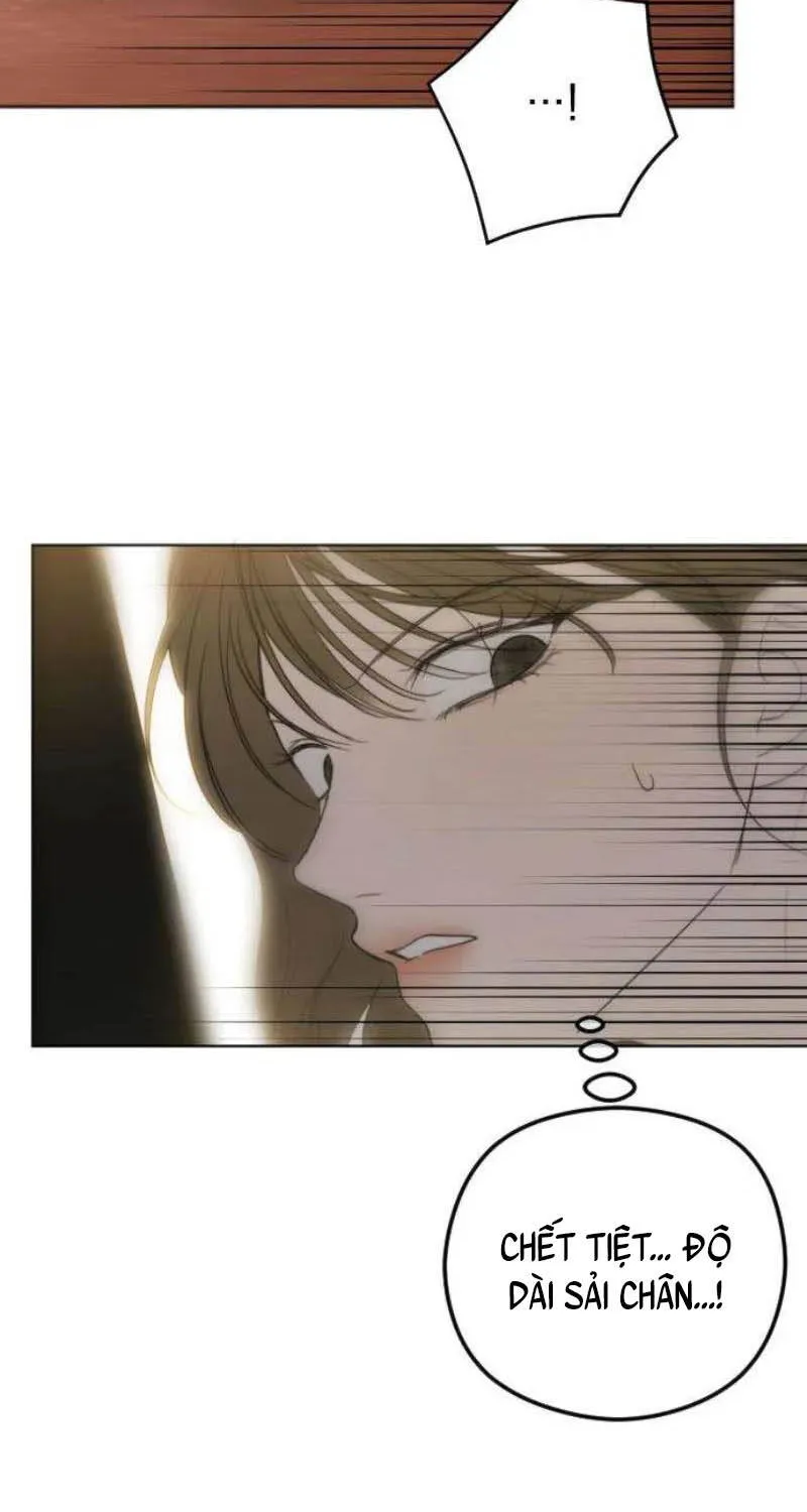 Góc Nhìn Của Anh Chap 2 - Next Chap 3