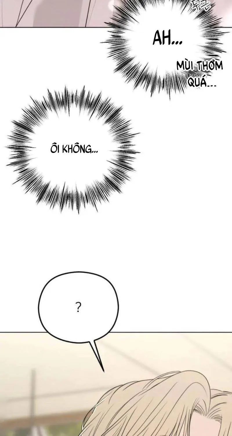 Góc Nhìn Của Anh Chap 2 - Next Chap 3