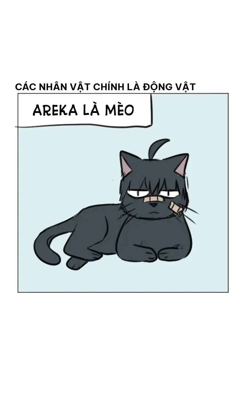 Good/Bad Fortune Chap 46.5 - Next Chap 47.5
