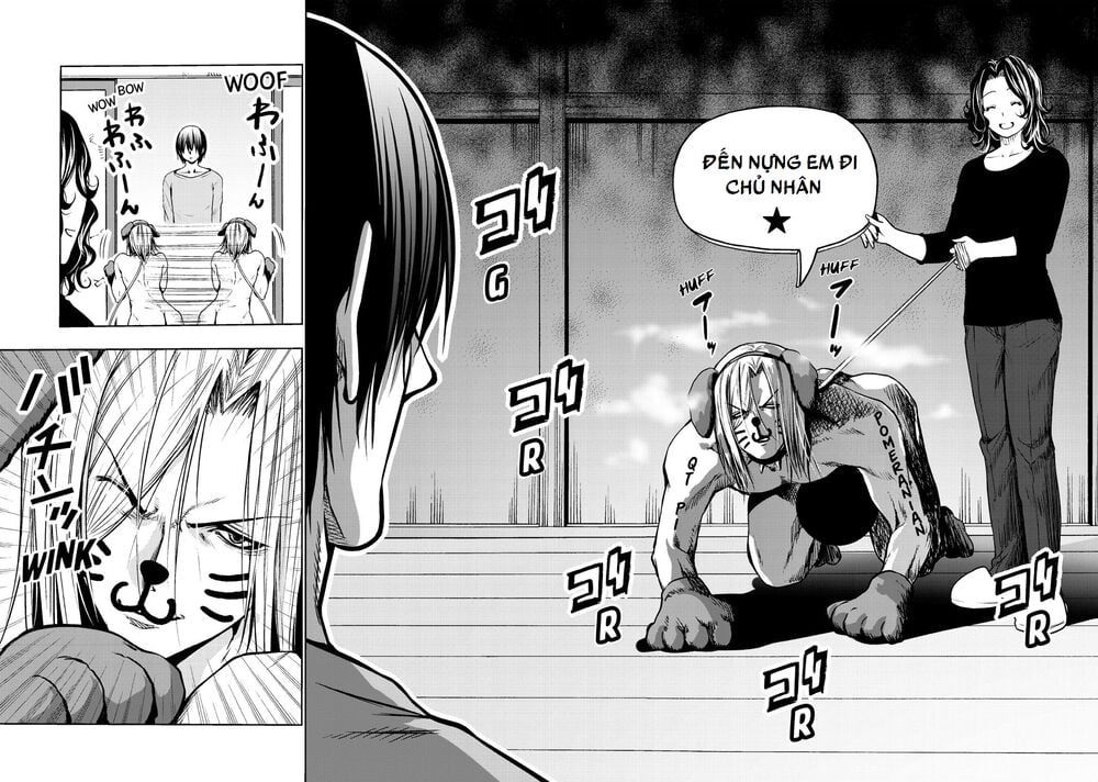 Grand Blue - Cô Gái Thích Lặn Chap 61.5 - Next Chap 62.5