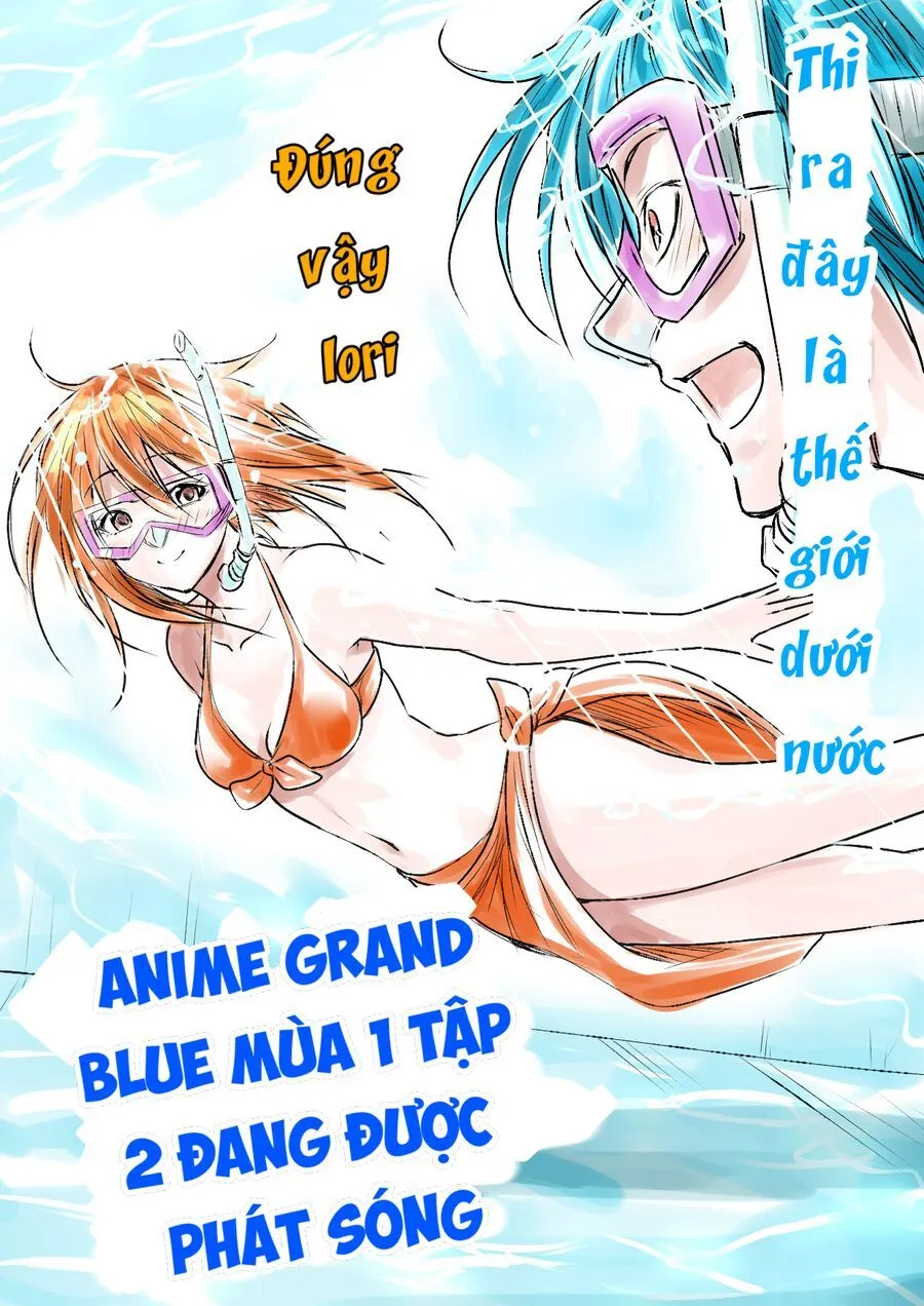 Grand Blue Chap 102 - Next Chap 103
