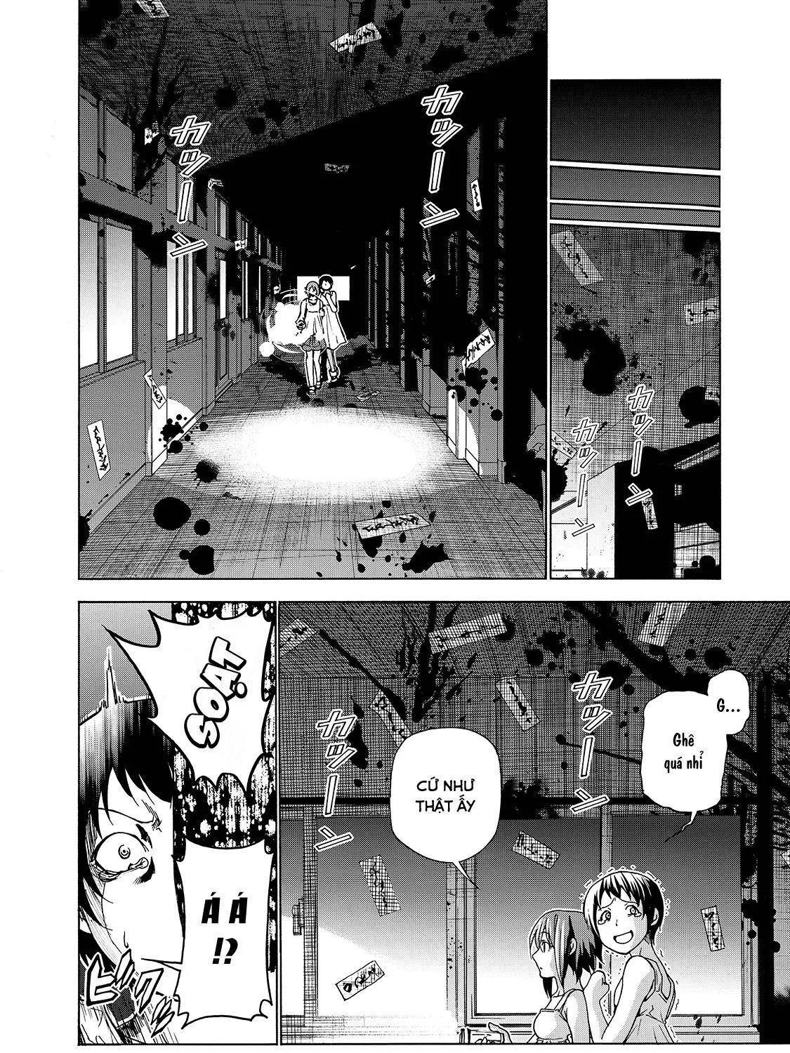 Grand Blue Chap 33 - Next Chap 34