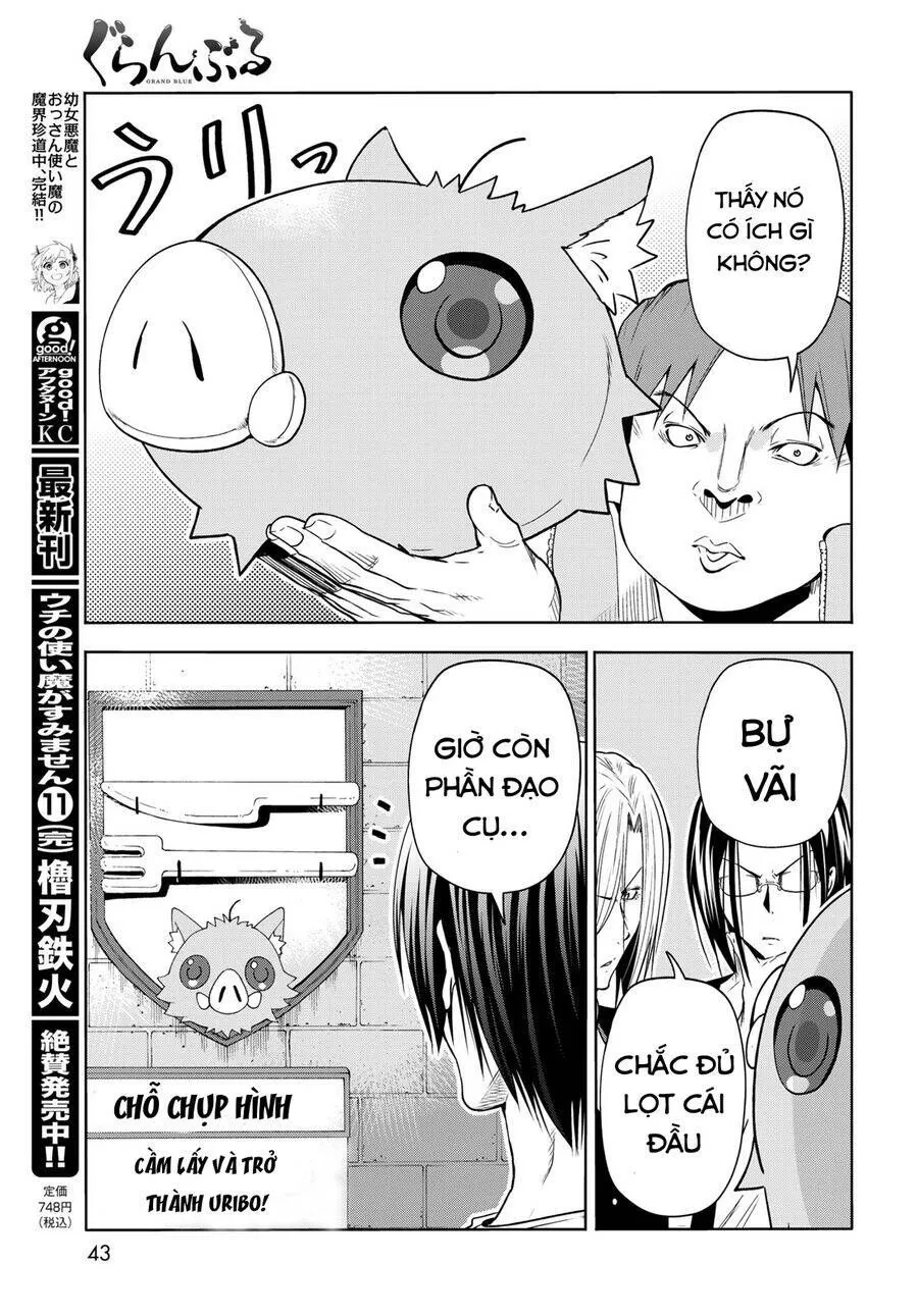 Grand Blue Chap 78 - Next Chap 79