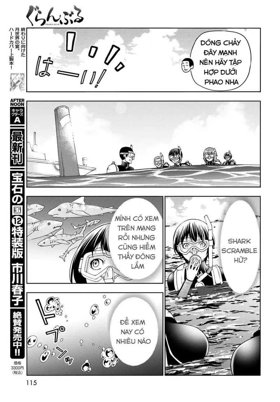 Grand Blue Chap 81 - Next Chap 82