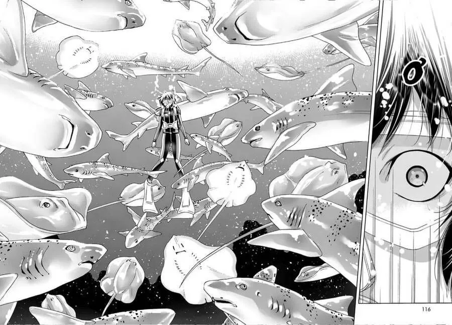 Grand Blue Chap 81 - Next Chap 82