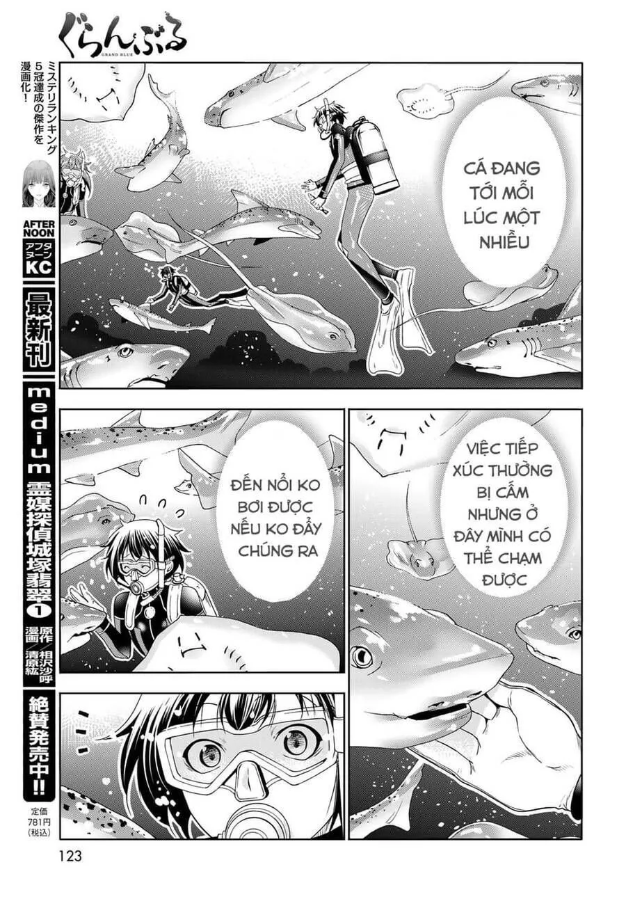 Grand Blue Chap 81 - Next Chap 82