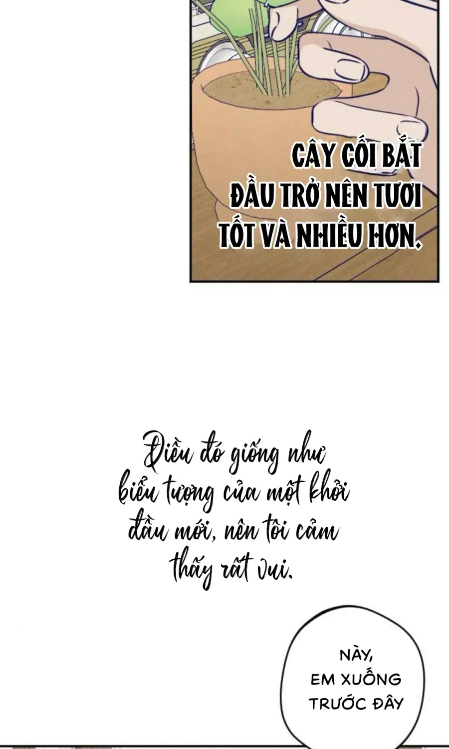 Gửi Đến Da Jeong Của Tôi Chap 25 - Next Chap 26