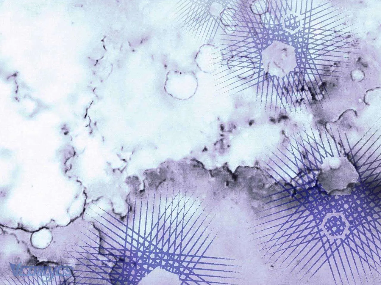 Gửi Đến Người Sói Yêu Dấu Của Em Chap 34 - Next Chap 35