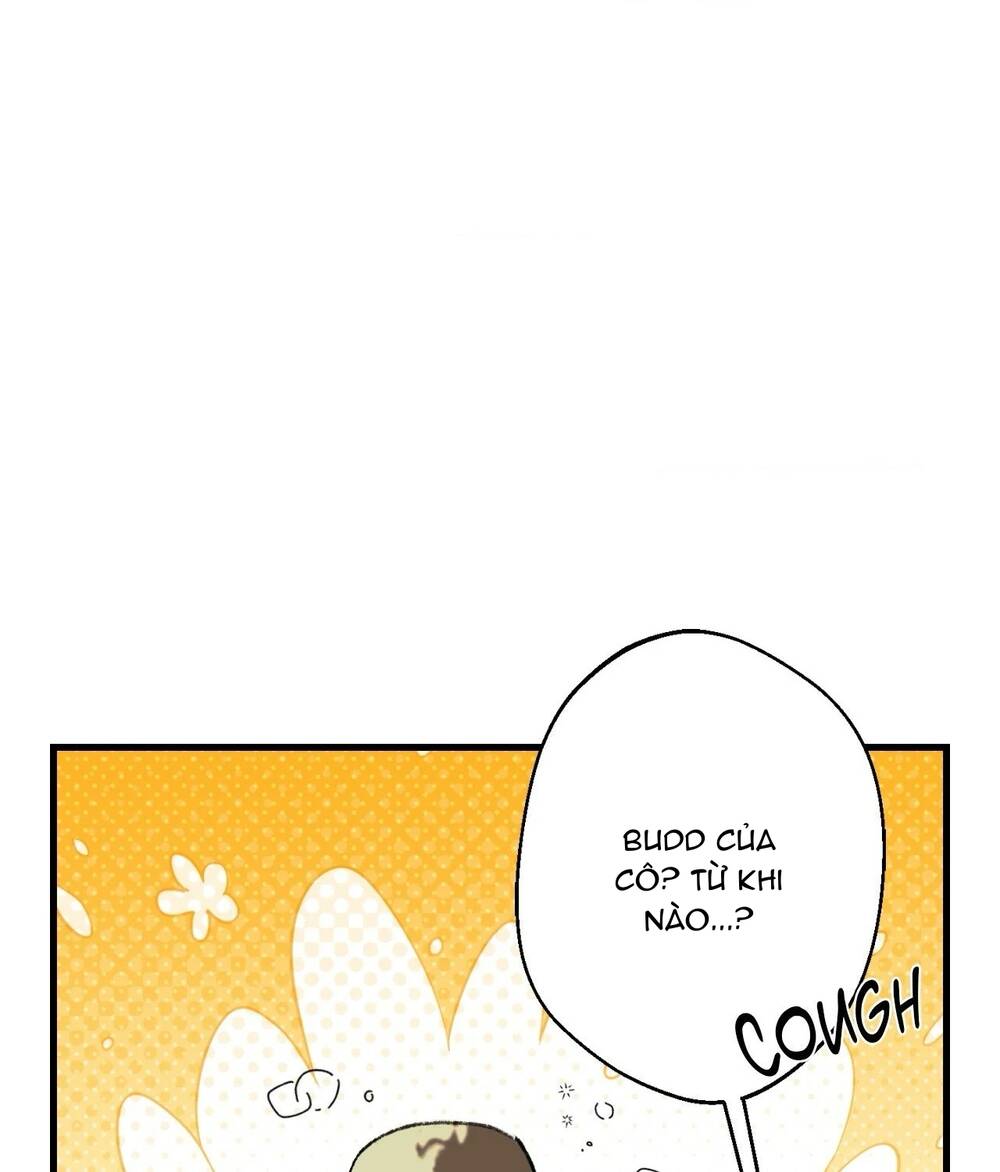 Gửi Lời Chúc Phúc Của Melt Tới Người Chap 47 - Next Chap 48