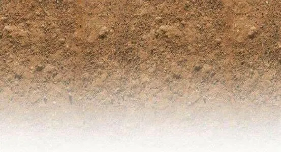 Guuzen Tasuketa Bishoujo Ga Nazeka Ore Ni Natsuiteshimatta Ken Ni Tsuite Chap 4 - Next Chap 5