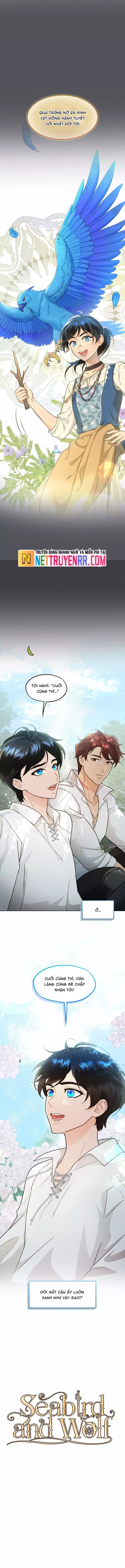 Hải Âu & Sói Hoang Chap 31 - Next Chap 32