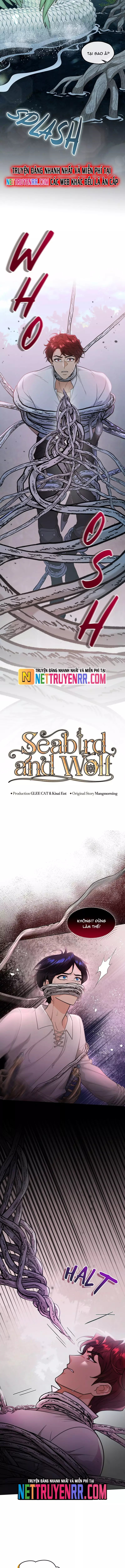 Hải Âu & Sói Hoang Chap 31 - Next Chap 32
