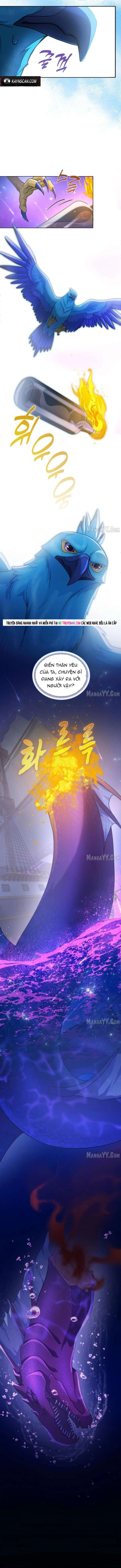 Hải Âu & Sói Hoang Chap 66 - Next Chap 67