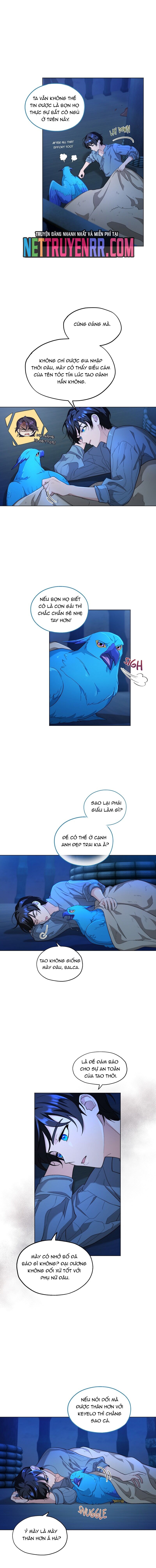 Hải Âu & Sói Hoang Chap 8 - Next Chap 9