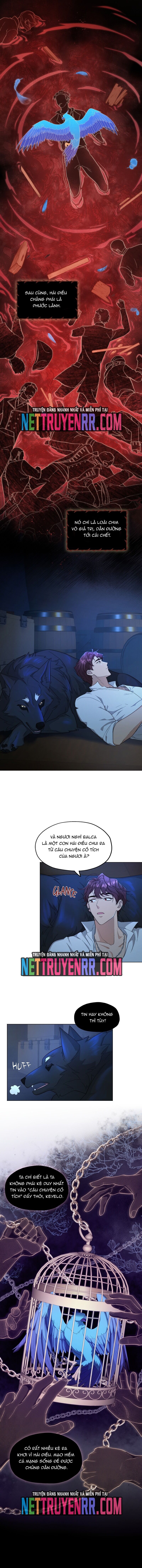 Hải Âu & Sói Hoang Chap 8 - Next Chap 9