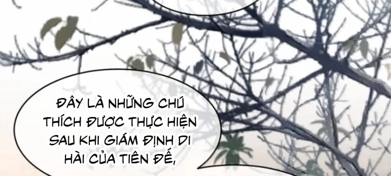 Hải Vương Sau Khi Hoàn Lương Sa Vào Tu La Tràng Chap 66 - Next Chap 67
