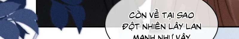 Hải Vương Sau Khi Hoàn Lương Sa Vào Tu La Tràng Chap 67 - Next Chap 68